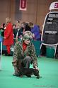 Crufts2011_2 723